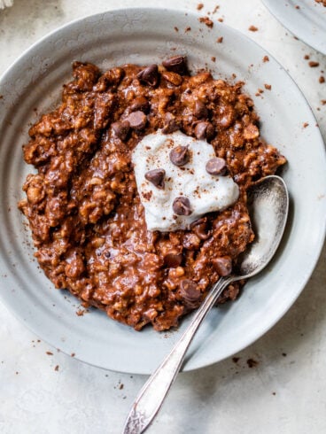 a bowl of chocolate oatmeal topped with chocolate chips
