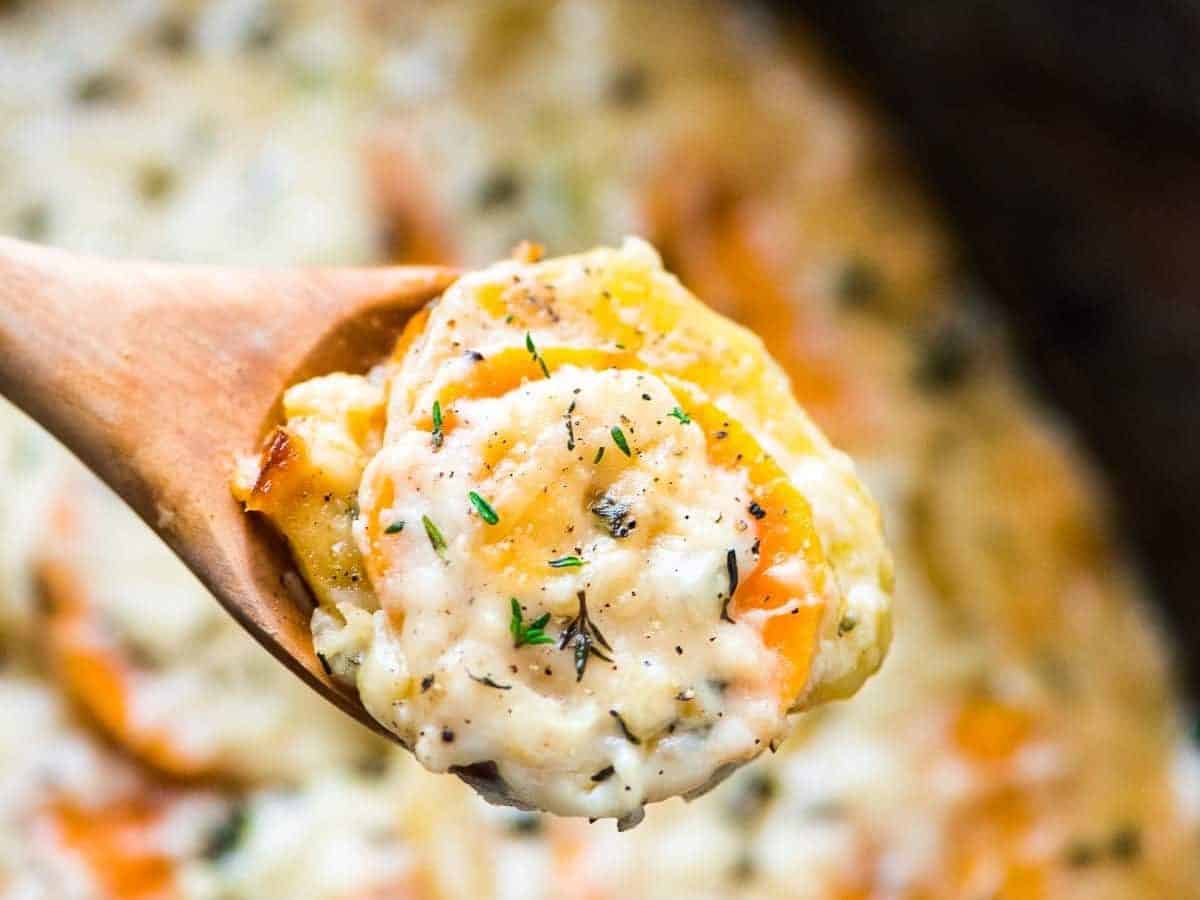close up photo of a spoon full of crock pot scalloped potatoes