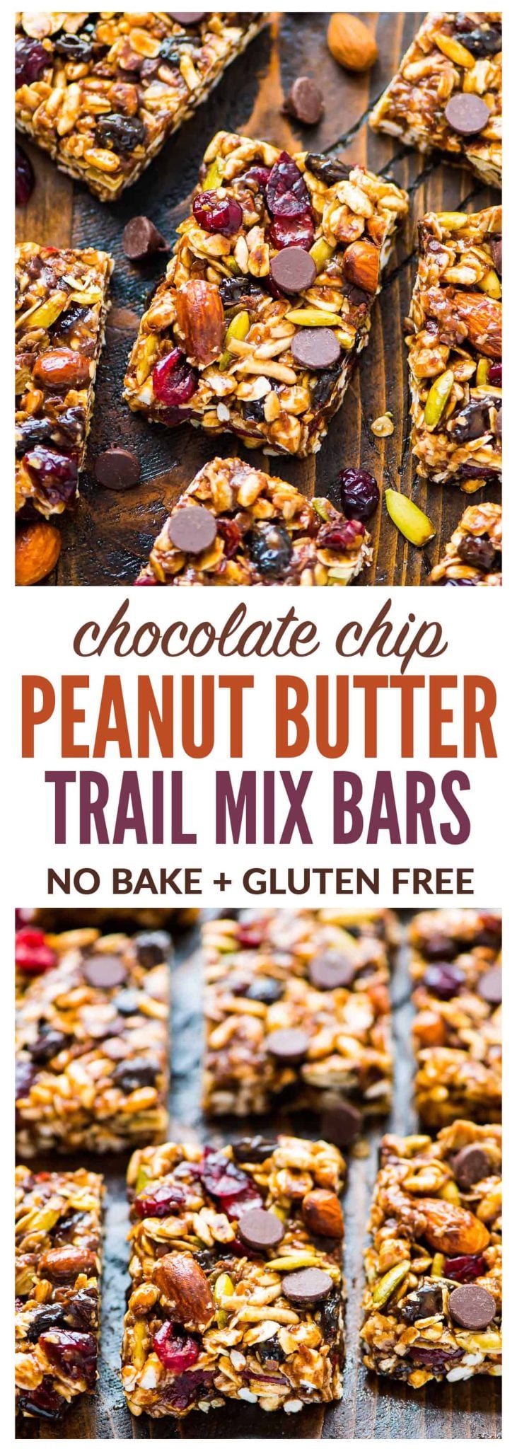 Trail Mix Granola Bars {Easy No Bake Recipe} - WellPlated.com
