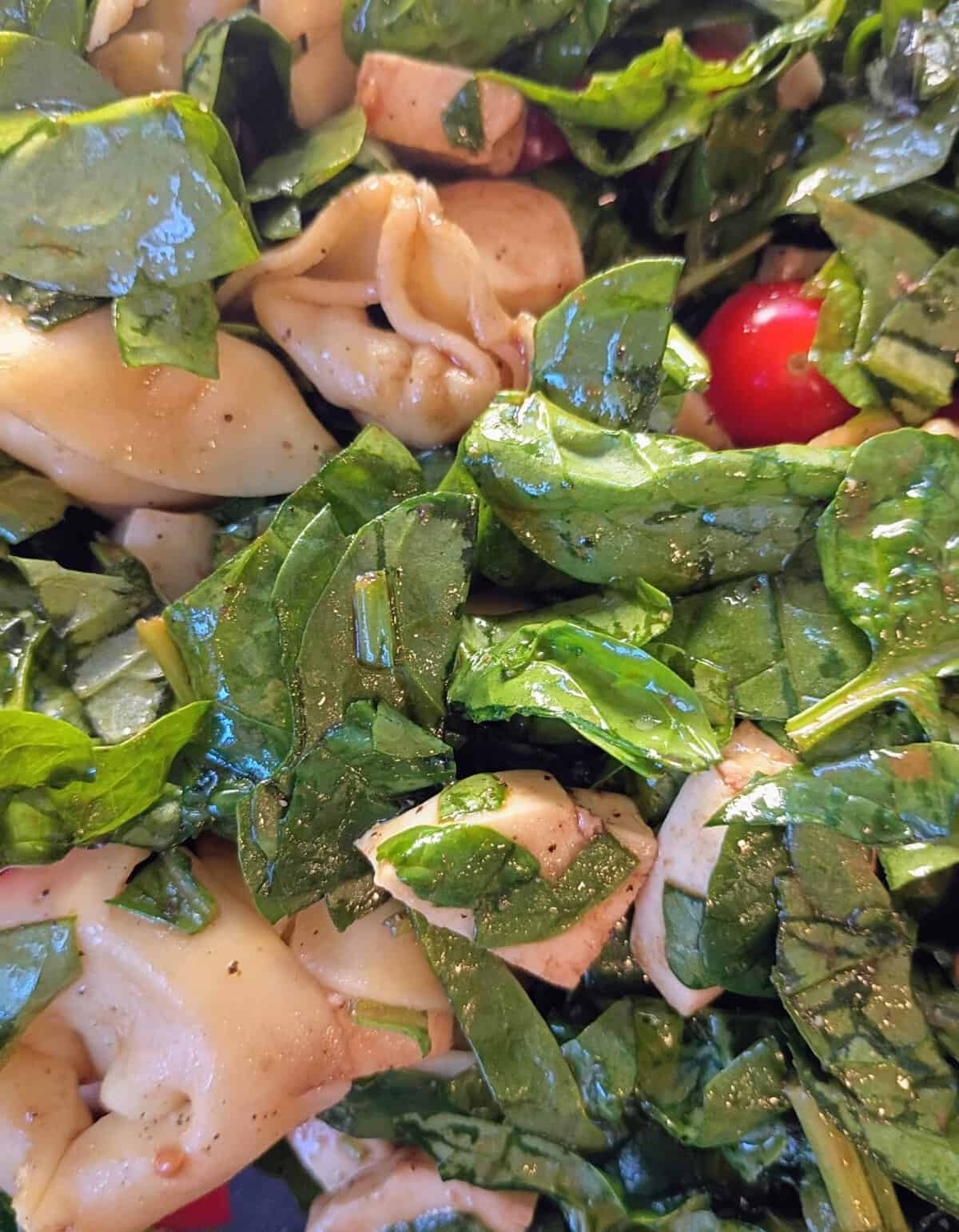 Close-up of a spinach and pasta salad with tomatoes, tortellini, and a light vinaigrette dressing.