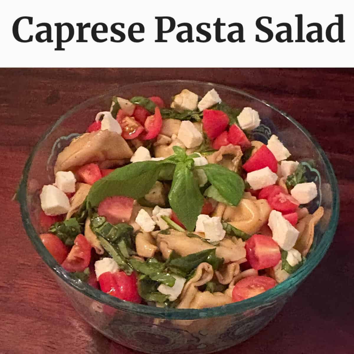 A bowl of Caprese pasta salad with tortellini, tomatoes, mozzarella cubes, spinach, and a basil garnish.