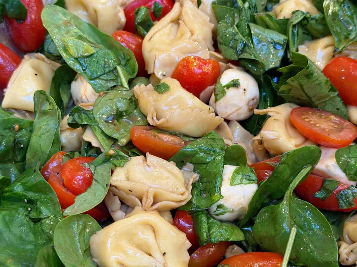 Tortellini pasta salad with fresh spinach, cherry tomatoes, mozzarella balls, and a light dressing.