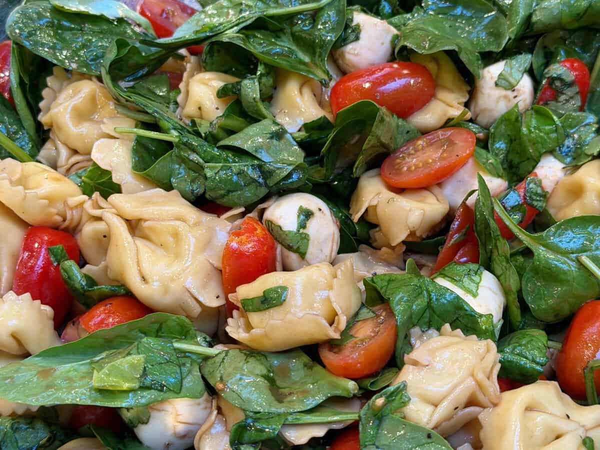 Fresh tortellini pasta salad with spinach, cherry tomatoes, mozzarella balls, and herbs.
