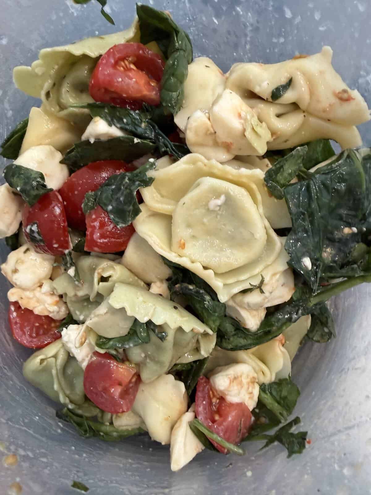 A close-up of tortellini pasta salad with spinach, cherry tomatoes, mozzarella, and dressing in a bowl.