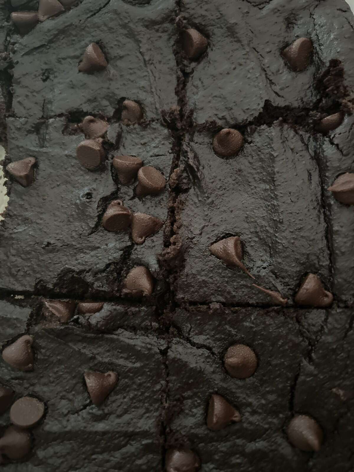 Chocolate brownies with chocolate chips on top, cut into squares, seen from above.