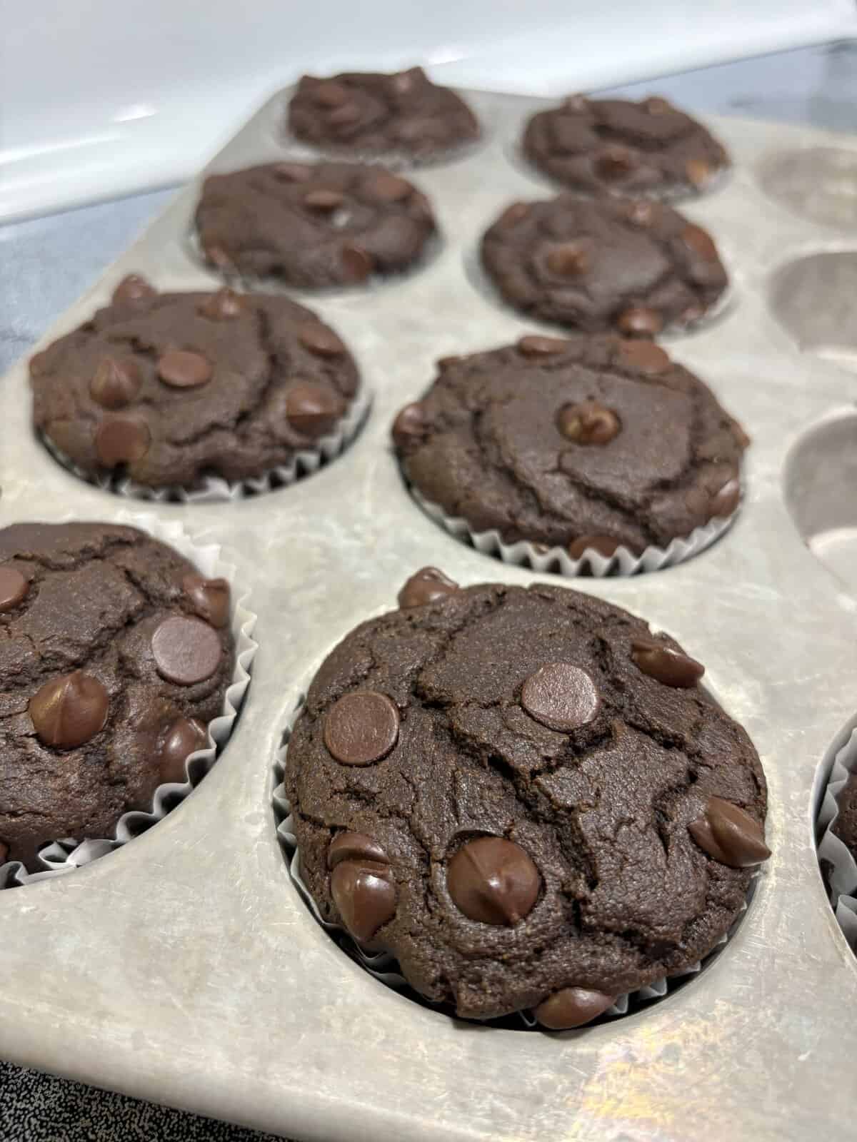 Chocolate muffins with chocolate chips in a baking tray, freshly baked and still in their paper liners.