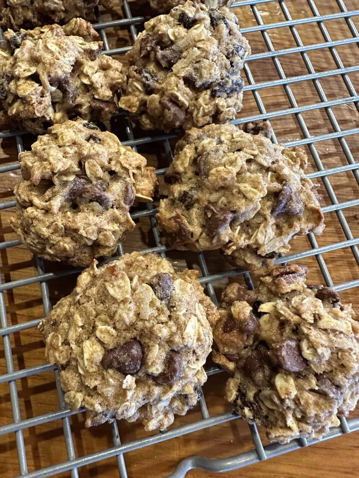 Oatmeal chocolate chip cookies cooling on a metal wire rack on a wooden surface.