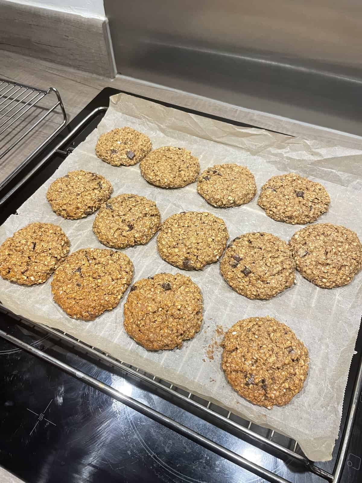 Thirteen oat and chocolate chip cookies on a baking tray lined with parchment paper, cooling on a stovetop.
