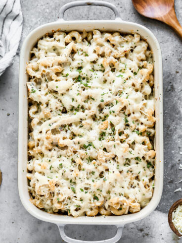 Cheesy chicken Alfredo bake in a dish