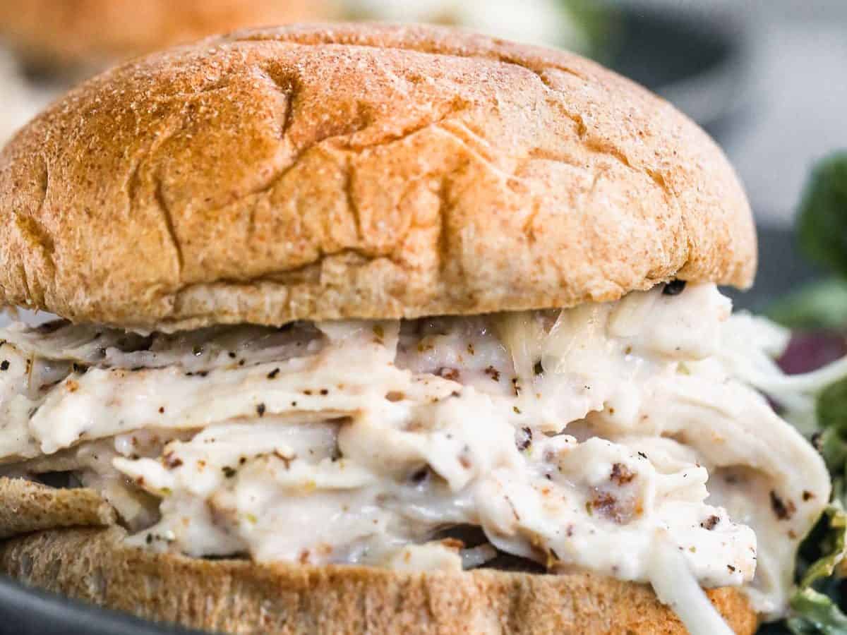 shredded chicken sandwich with Greek yogurt