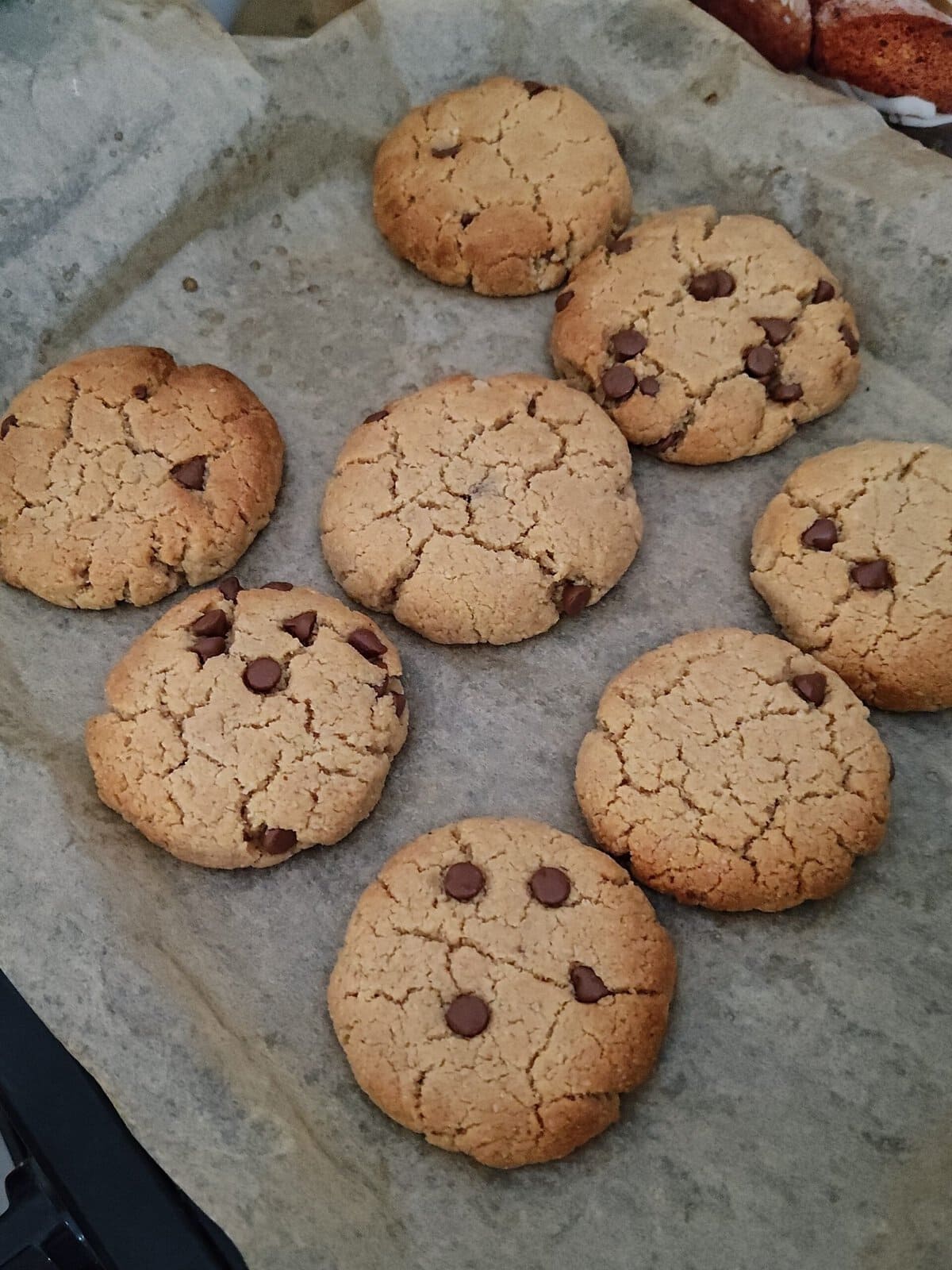 Eight chocolate chip cookies on a baking tray with parchment paper, freshly baked and golden brown.