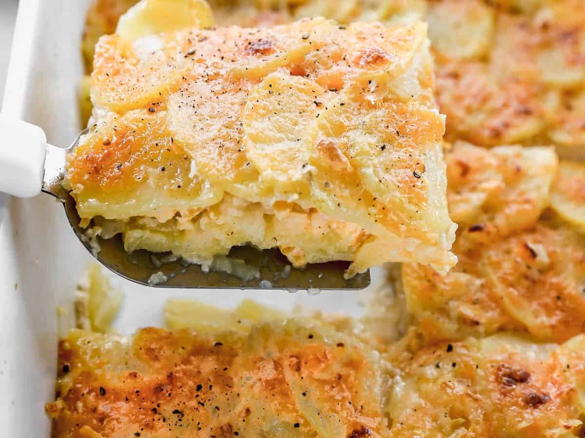 the BEST cheesy scalloped potatoes with onions