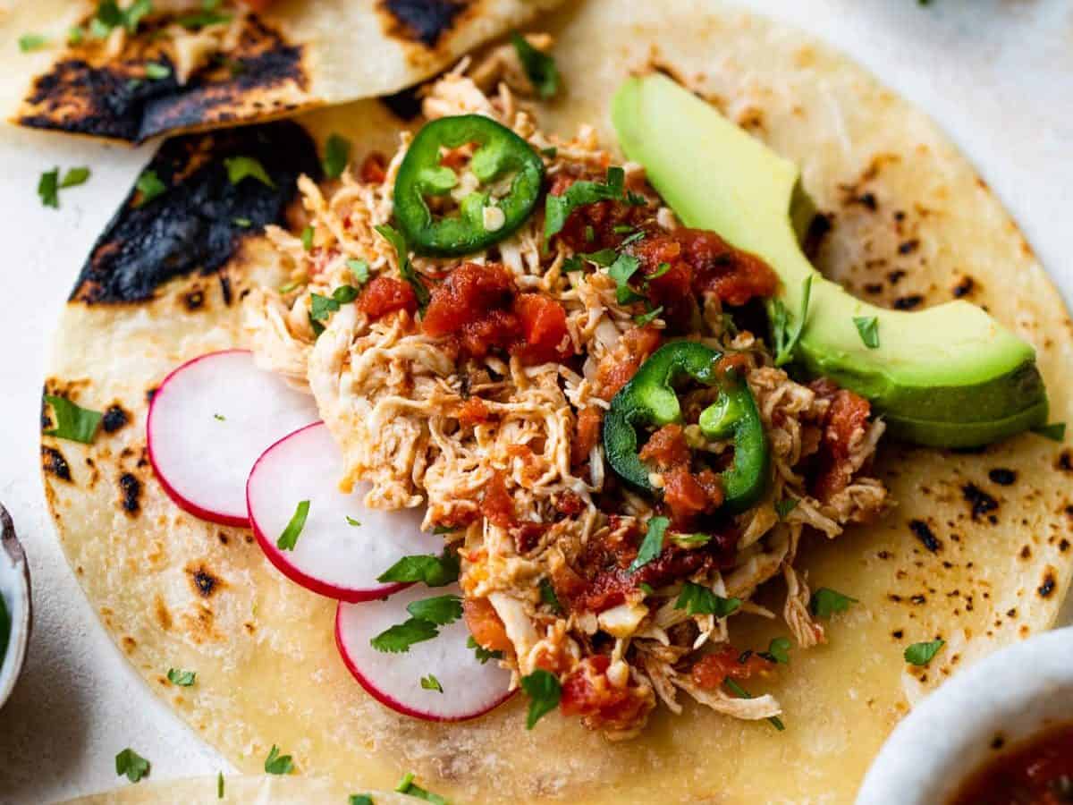 the best shredded chicken tacos recipe