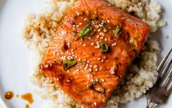 the best teriyaki salmon on a plate with rice