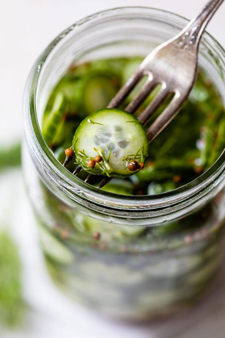 Easy Refrigerator Pickle Recipe WellPlated easy-refrigerator-pickle-recipe-wellplated