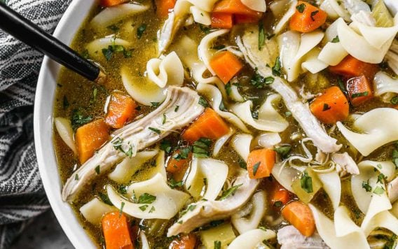 bowl of chicken noodle soup with egg noodles