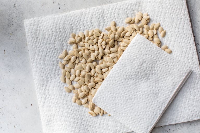 drying pumpkin seeds for easy roasted pumpkin seeds recipe