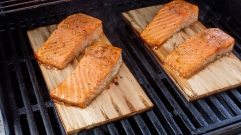Four seasoned salmon fillets are cooking on cedar planks placed over the grates of a grill. The fish is lightly browned at the edges, and the grill is emitting a bit of steam or smoke.