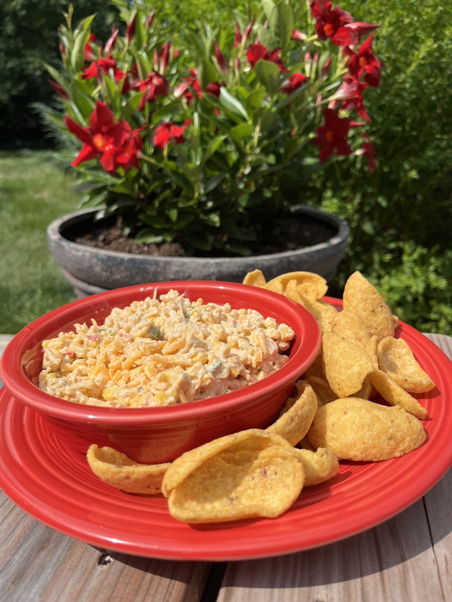 Bowl of cheesy dip with corn chips on a red plate, outdoors with red flowers and greenery in the background.