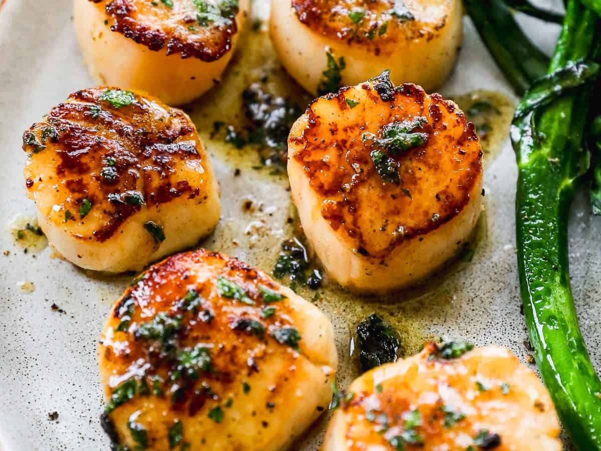 golden pan seared scallops on a plate