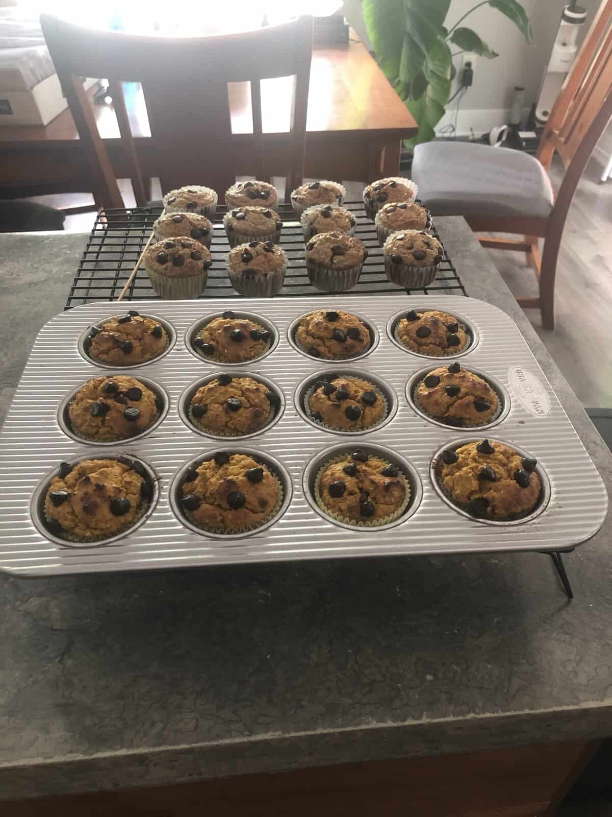 A muffin tin and cooling rack with freshly baked blueberry muffins on a kitchen counter.