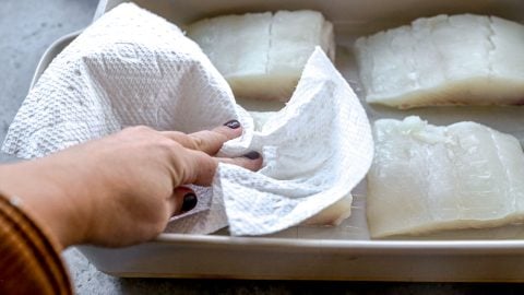 Patting halibut fillets dry with paper towel.
