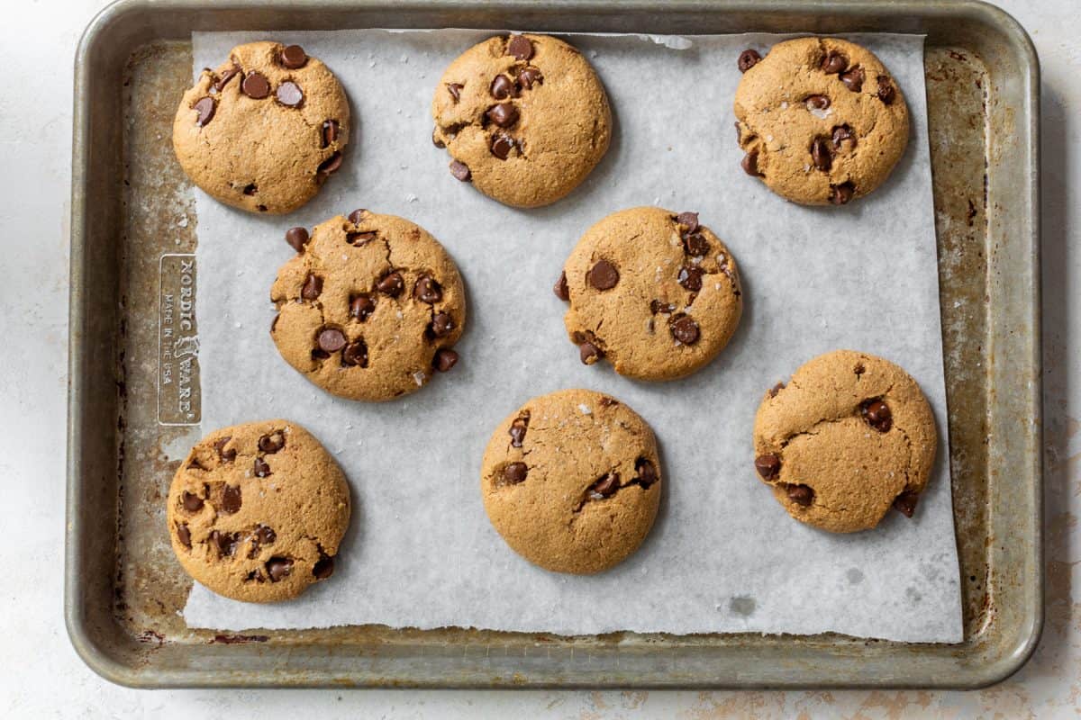 Eight chocolate chip almond flour cookies on a parchment-lined baking sheet, freshly baked and arranged in two rows.