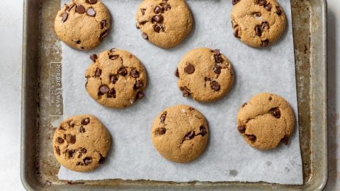 Eight chocolate chip almond flour cookies on a parchment-lined baking sheet, freshly baked and arranged in two rows.