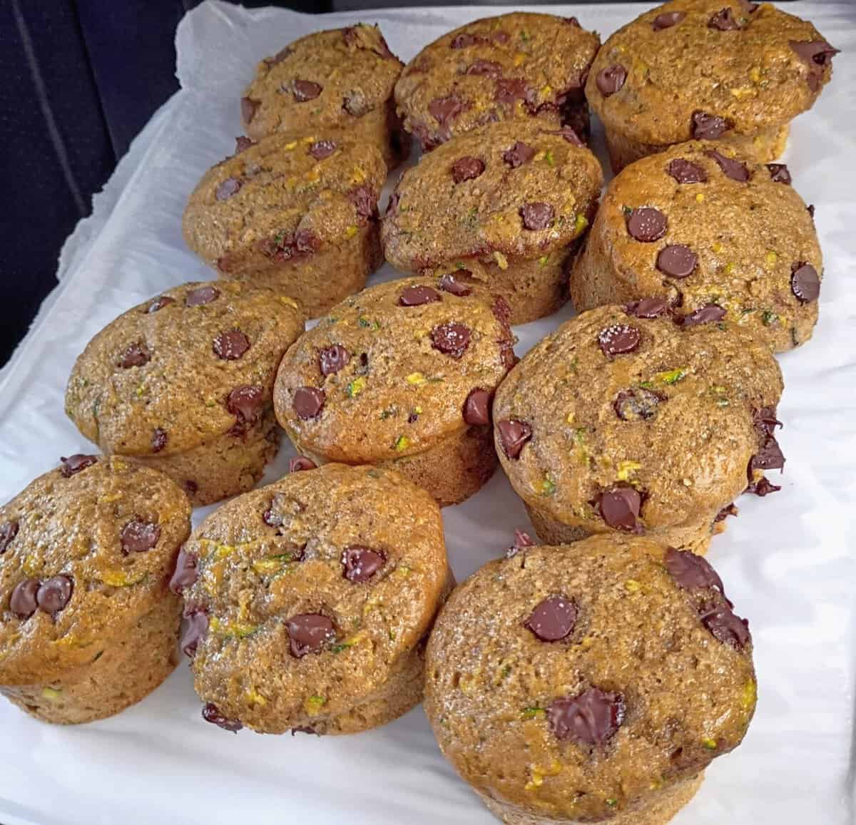 Twelve chocolate chip muffins with visible zucchini, arranged on a white tray lined with parchment paper.