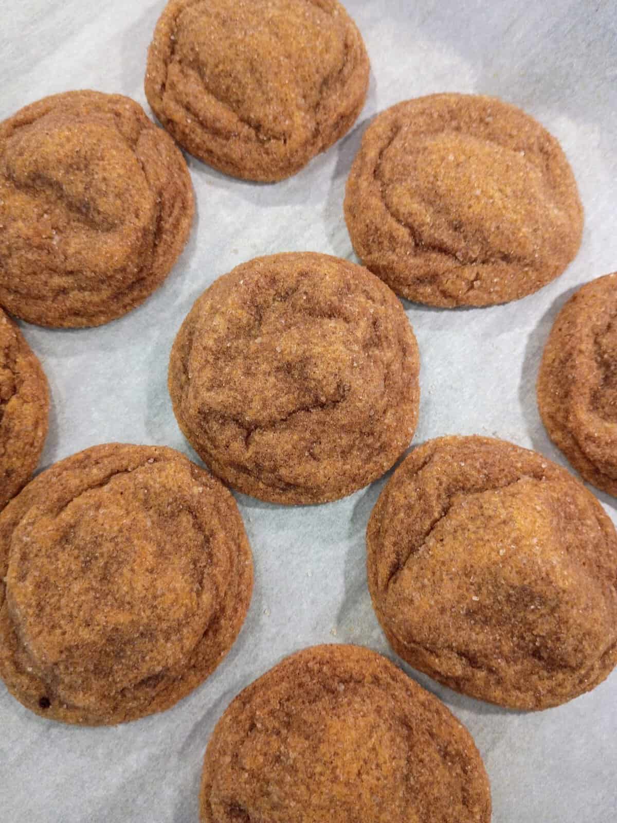 Nine round, golden-brown cookies arranged on parchment paper, viewed from above.