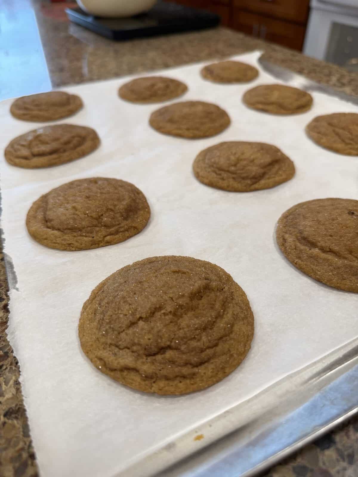 A baking sheet with freshly baked brown cookies on parchment paper, cooling on a kitchen counter.
