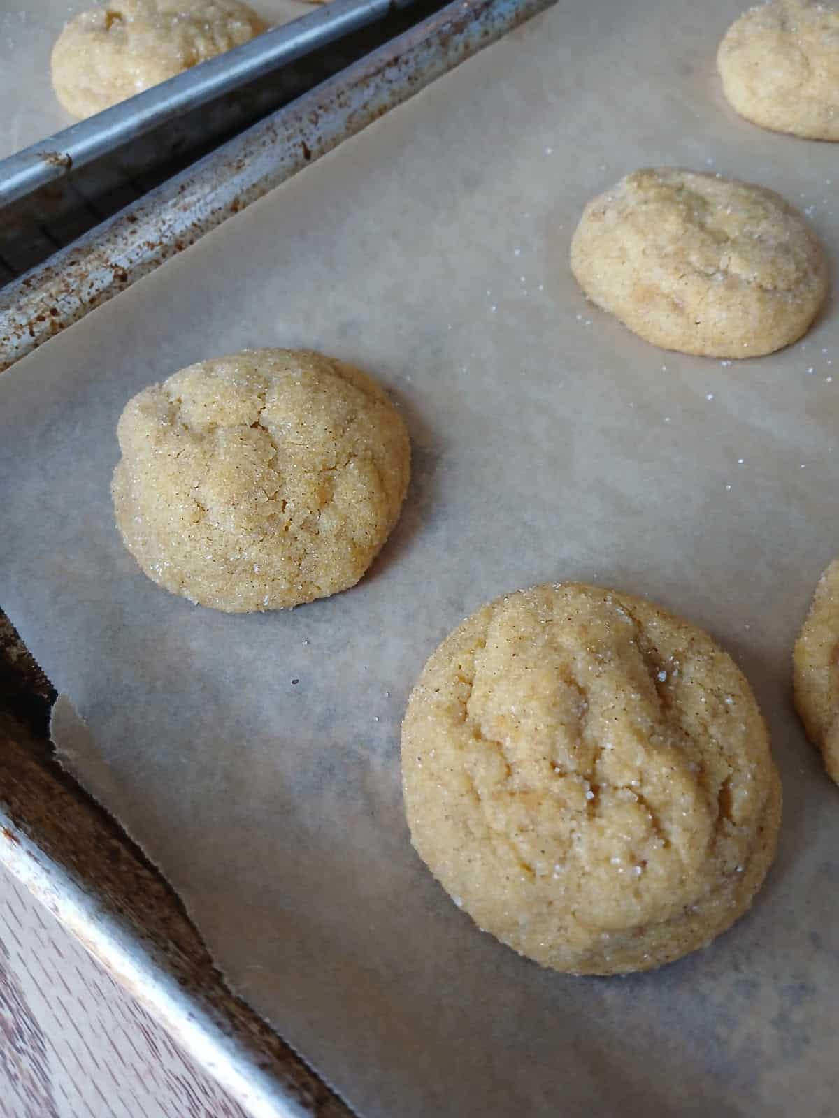 Close-up of round, golden cookies on parchment-lined baking sheet, some sugar visible on cookie surfaces.